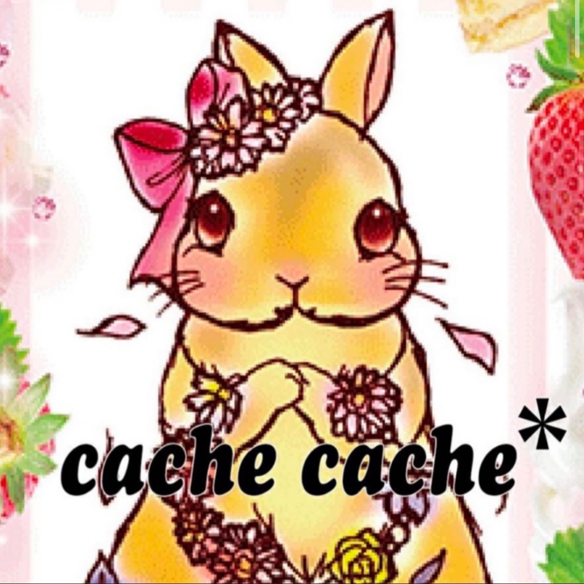cachecache