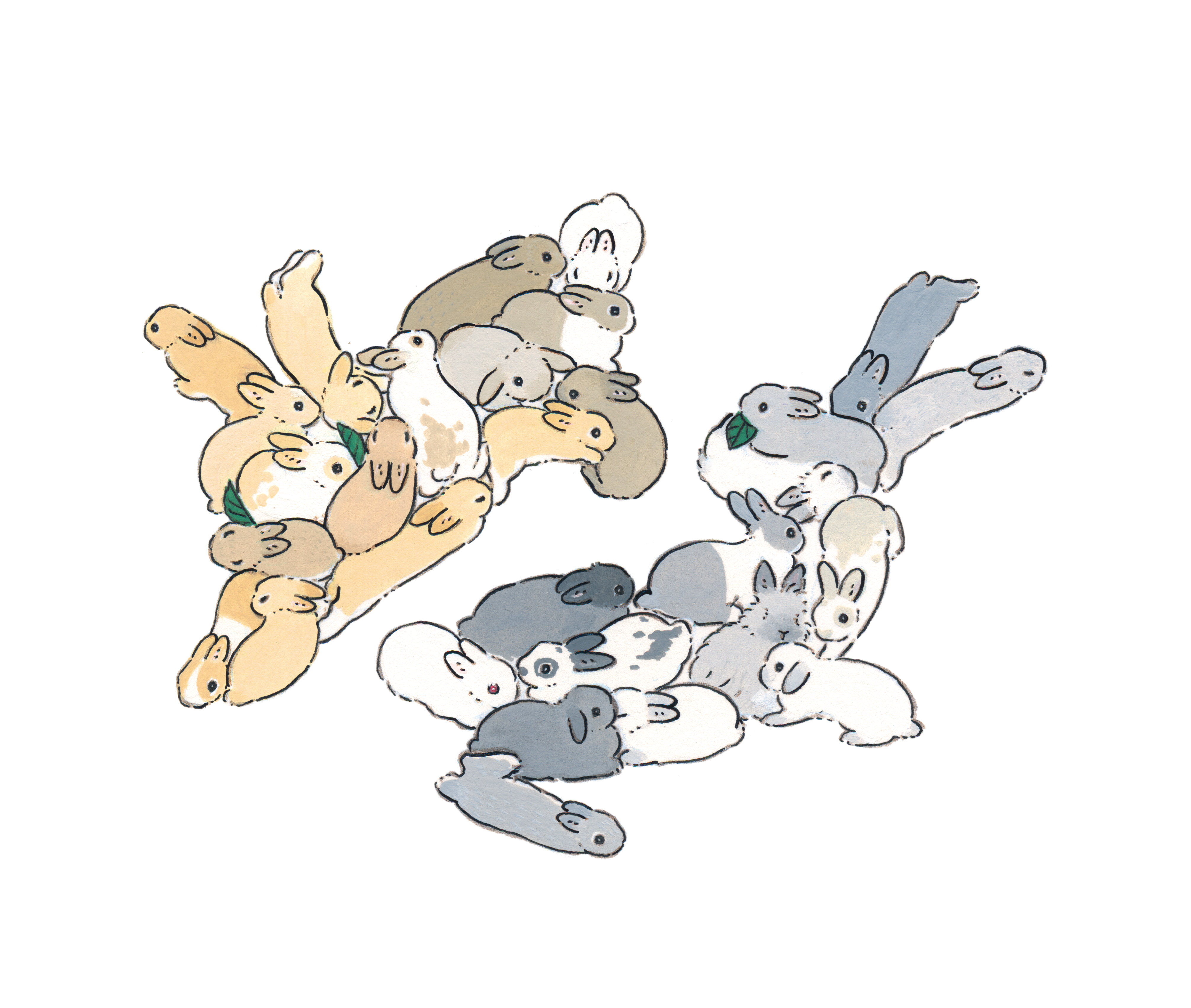 うさぎ