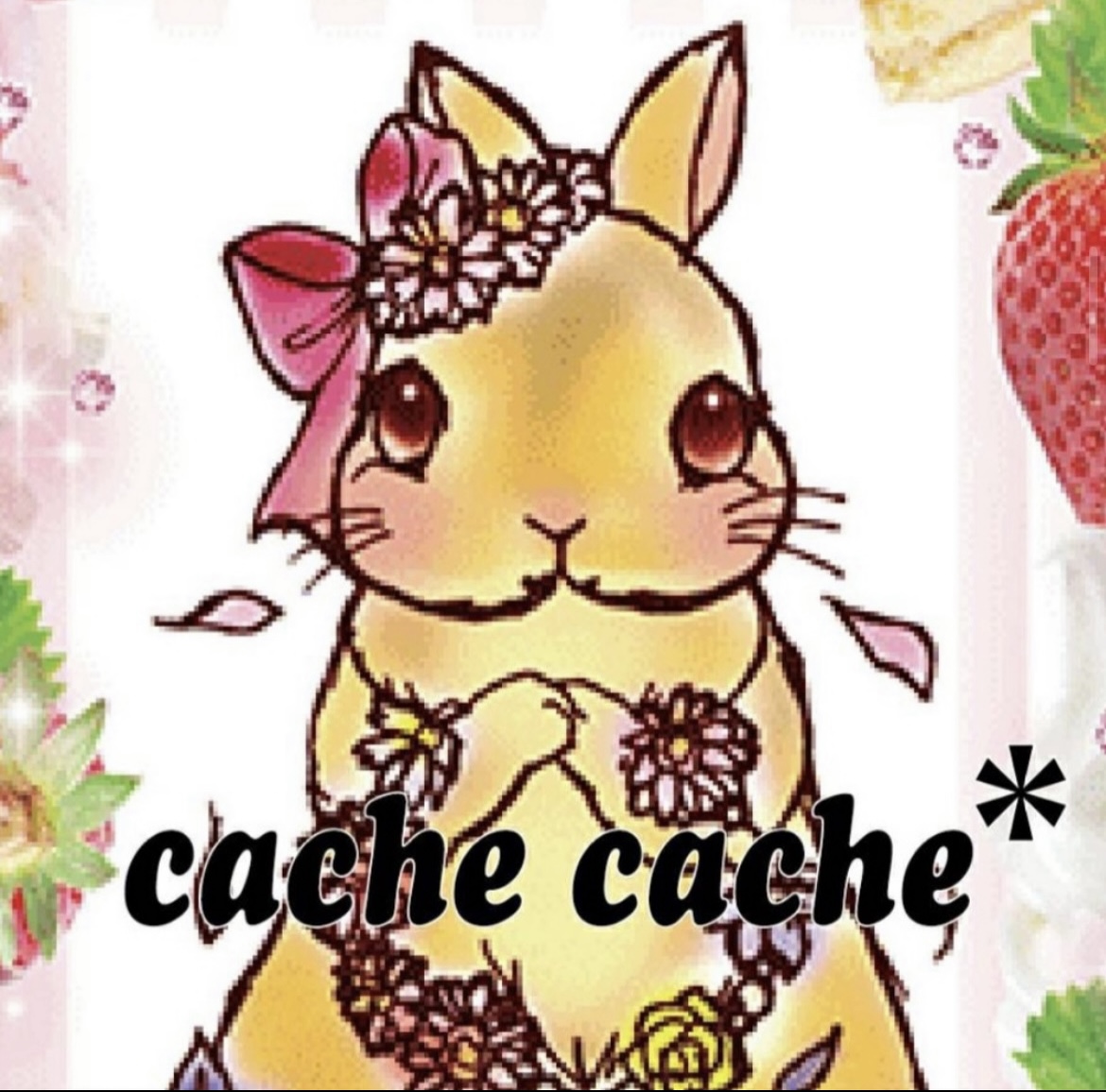 cache cache* 